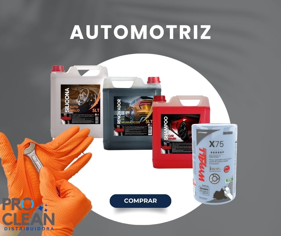 Productos de Limpieza Automotriz